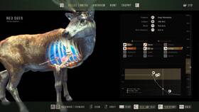 Hra THQ Nordic Xbox Series Way of the Hunter 

 obrázek produktu 11 z 11
