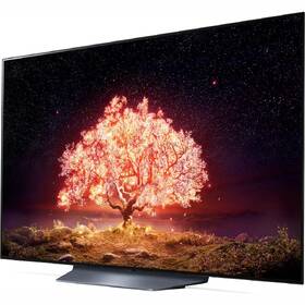 Televize LG OLED65B1 

 obrázek produktu 3 z 10