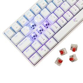 Klávesnice White Shark SHINOBI 2, CZ/SK layout, Red switch bílá

 obrázek produktu 4 z 12