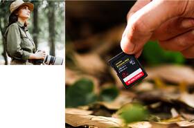 Paměťová karta SANDISK 128GB UHS-I U3 (250R/120W) 

 obrázek produktu 2 z 2