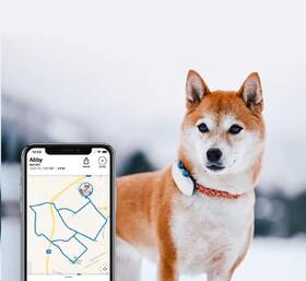 GPS lokátor Tractive DOG 4 LTE – sledování polohy a aktivity pro psy bílý

 obrázek produktu 4 z 9
