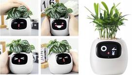 Chytrý květináč Plantsio IVY bílý

 obrázek produktu 3 z 5