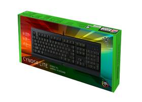 Klávesnice Razer Cynosa Lite US Layout černá

 obrázek produktu 4 z 5