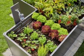 Sada pro zavlažování Gardena MicroDrip System 3455-20 

 obrázek produktu 2 z 5