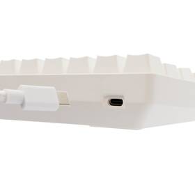 Klávesnice White Shark SHINOBI 2, CZ/SK layout, Red switch bílá

 obrázek produktu 9 z 12