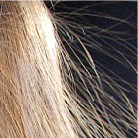 Ionizační kartáč Braun BR750 MN WHT BOX HAIRSTYLER             bílá

 obrázek produktu 7 z 8