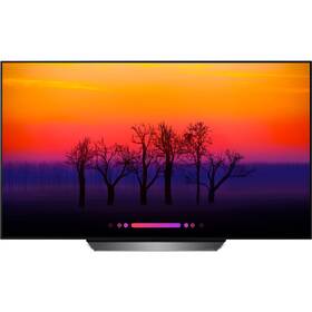Televize LG OLED55B8PLA 

 obrázek produktu 15 z 15