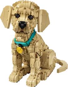 Stavebnice LEGO® Icons 11384 Štěně zlatého retrívra 

 obrázek produktu 1 z 9