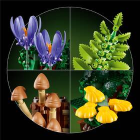 Stavebnice LEGO® Botanicals 11505 Lesní houby 

 obrázek produktu 9 z 9