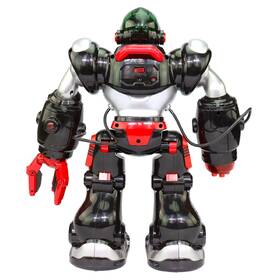 Robot MaDe Hektor 
