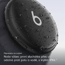 Sluchátka Beats 360 OverEar Headphones Knit Cushions černá

 obrázek produktu 5 z 7