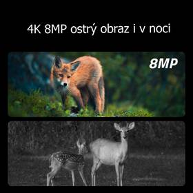 Fotopast Reolink Talon Series T130 SIM maskáčový

 obrázek produktu 14 z 21