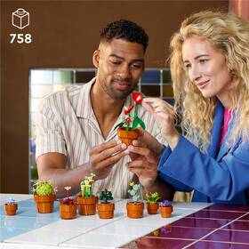 Stavebnice LEGO® Botanicals 10329 Miniaturní rostliny 

 obrázek produktu 4 z 8