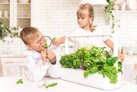 Chytrý květináč Click and Grow Smart Garden 9 bílý

 obrázek produktu 2 z 7