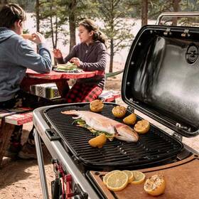 Gril zahradní plynový Weber Traveler černý

 obrázek produktu 5 z 10