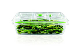 Dóza na potraviny FoodSaver FFC010X zelená/průhledná

 obrázek produktu 1 z 2