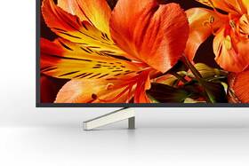 Televize Sony KD-55XF8505 

 obrázek produktu 6 z 8