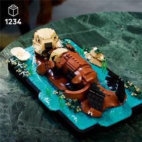 Stavebnice LEGO® Ideas 21366 Plavající mořské vydry 

 obrázek produktu 4 z 9