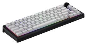 Klávesnice HATOR Skyfall 65 MAG ULTRA 8K, US layout černá/bílá

 obrázek produktu 3 z 7