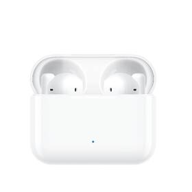 Sluchátka HONOR Choice Earbuds X bílá

 obrázek produktu 8 z 8