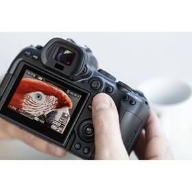 Digitální fotoaparát Canon R6 + RF 24-105 mm f/4-7.1 IS STM černý

 obrázek produktu 8 z 10