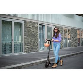 Elektrická koloběžka Ninebot by Segway Kickscooter F40E 

 obrázek produktu 20 z 22