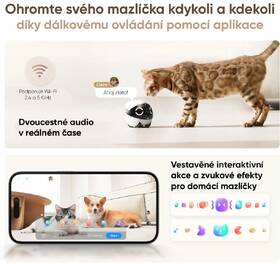 IP kamera Enabot ROLA Mini bílá

 obrázek produktu 5 z 8