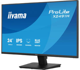 Monitor IIYAMA ProLite X2491H-B1 černý

 obrázek produktu 2 z 9