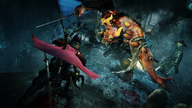 Hra Sony Nioh 

 obrázek produktu 5 z 11