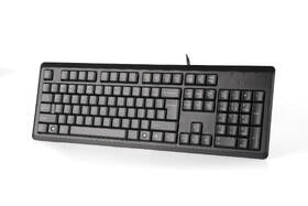 Klávesnice A4Tech KR-92, USB, CZ černá

 obrázek produktu 2 z 4