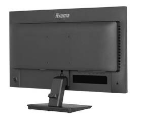 Monitor IIYAMA ProLite X2497HSU-B1 černý

 obrázek produktu 5 z 9
