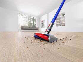  Dyson  
