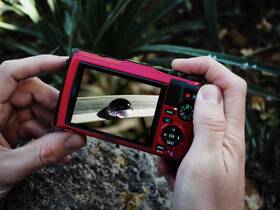 Digitální fotoaparát Olympus TG-6 červený

 obrázek produktu 14 z 15