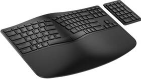 Klávesnice HP 960 Ergonomic CZ černá

 obrázek produktu 4 z 4