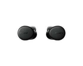 Sluchátka Sony WF-XB700B černá

 obrázek produktu 5 z 17