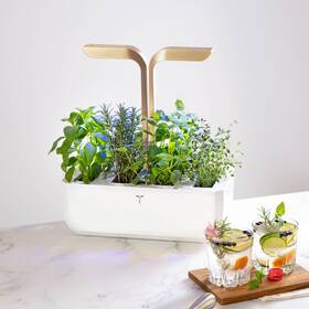 Chytrý květináč Véritable CONNECT bílý/champagne

 obrázek produktu 5 z 6