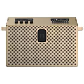 Přenosný reproduktor Mondo Speaker Large zlatý

 obrázek produktu 1 z 8