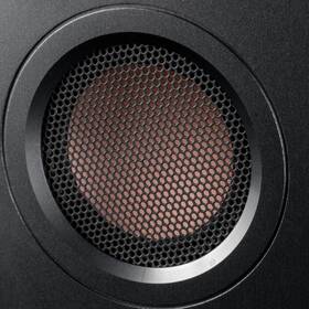 Reproduktory Swan H6 (2 ks) černé

 obrázek produktu 3 z 5