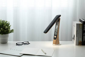 Stolní LED lampička IMMAX Wood imitace dřeva

 obrázek produktu 10 z 12