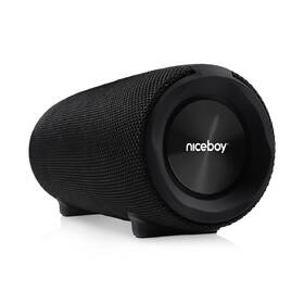 Přenosný reproduktor Niceboy Titan 4 černý

 obrázek produktu 3 z 6