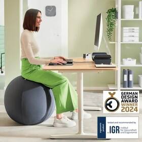 Sedací míč Leitz Ergo Anti-Roll Dark Grey, 55cm šedý

 obrázek produktu 1 z 10