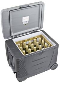 Autochladnička G21 C&W, 45 l, 12/230 V šedá

 obrázek produktu 9 z 9