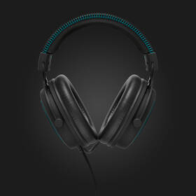 Headset LAMAX Heroes General1 černý

 obrázek produktu 6 z 15