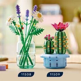 Stavebnice LEGO® Botanicals 11508 Kopretiny 

 obrázek produktu 3 z 9