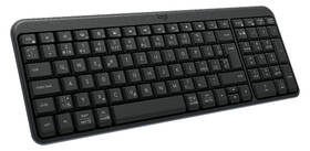 Klávesnice Logitech K250 CZ/SK layout grafitová

 obrázek produktu 2 z 3