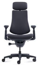 Ergonomická židle LiberNovo Omni, 48 cm černá

 obrázek produktu 1 z 8