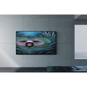 Televize Sony XR-85Z9J 

 obrázek produktu 18 z 18