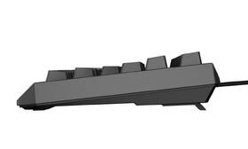 Klávesnice Genesis THOR 230, TKL, RGB, Outemu Red, CZ-SK layout černá

 obrázek produktu 10 z 19