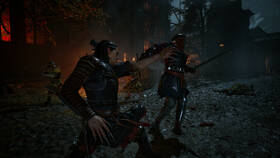 Hra Bandai Namco Games PlayStation 5 The Blood of Dawnwalker​ Launch Edition 

 obrázek produktu 4 z 9