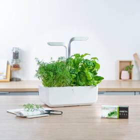 Semínka Véritable Lingot Kopr - BIO 

 obrázek produktu 2 z 2